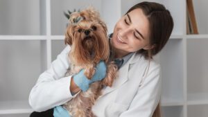 Cada cuanto se desparasita un perro