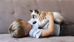 10 Curiosidades de los gatos que seguro no sabías