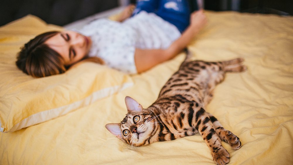 Es malo dormir con gatos