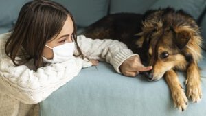 Alergia en perros causas y síntomas
