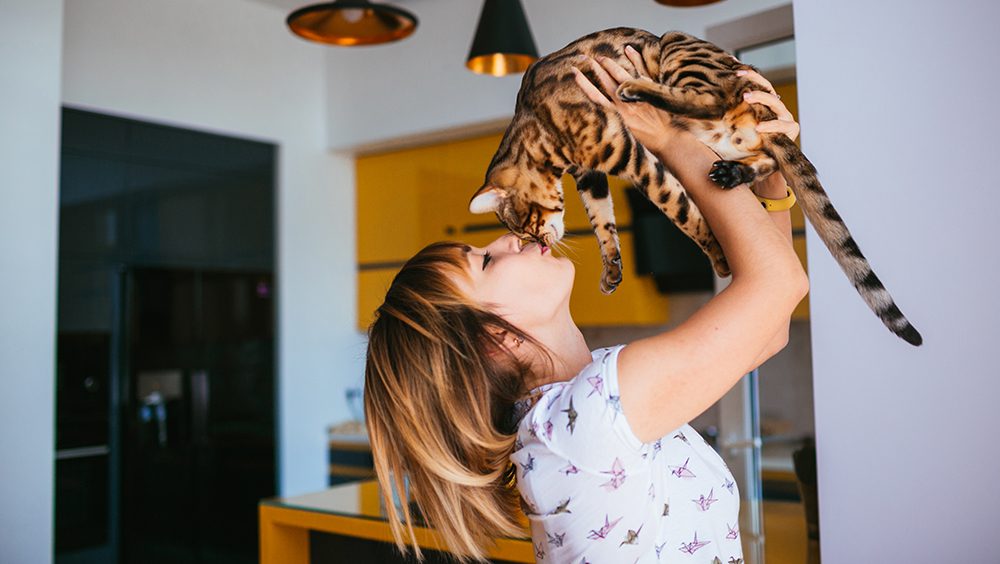 Que perciben los gatos en las personas