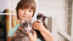 Que perciben los gatos en las personas