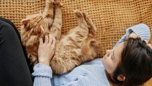 Que perciben los gatos en las personas