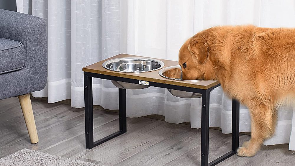 comedero elevado para perros