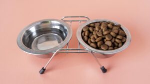 comedero elevado para perros