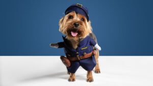 disfraces para perros