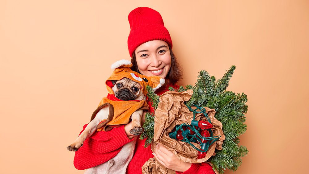 Ropa de Navidad para Perros