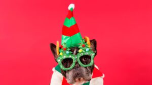 Ropa de Navidad para Perros