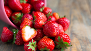 los perros pueden comer fresas