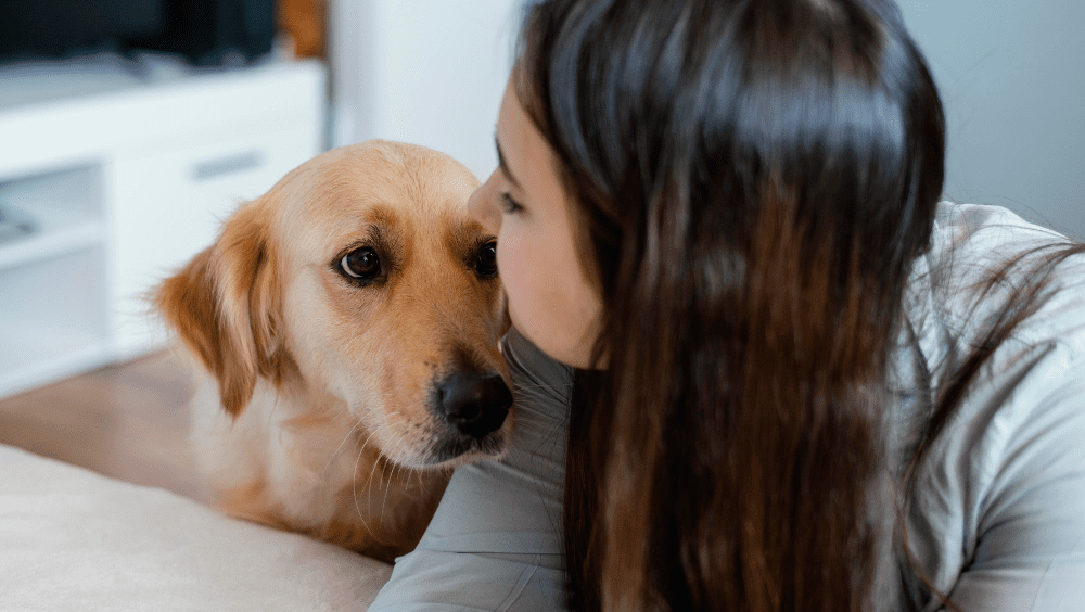 Ansiedad por Separación en Perros