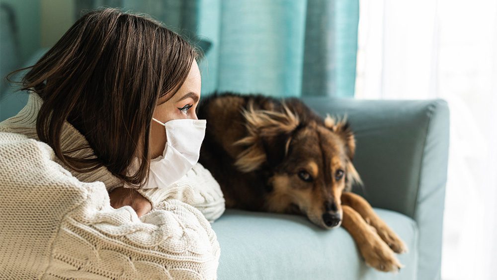 Tipos de Alergias en Perros