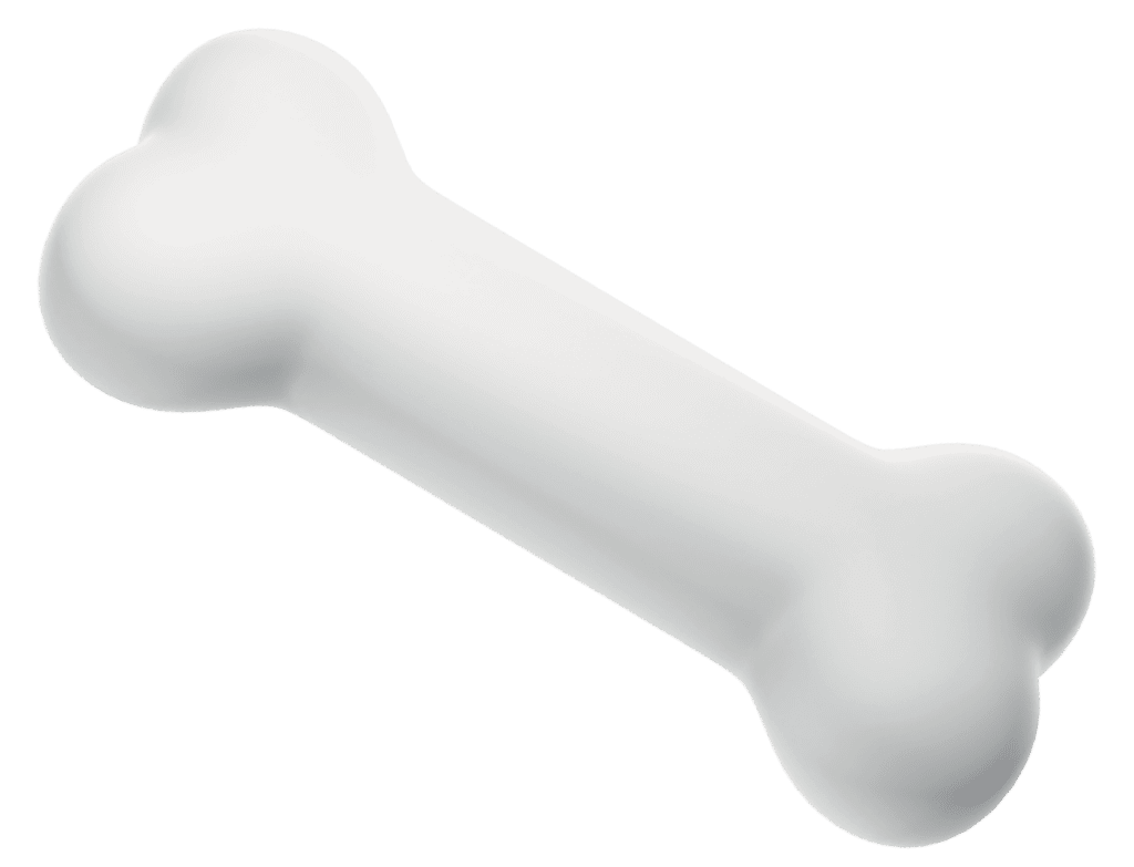 productos para mascotas