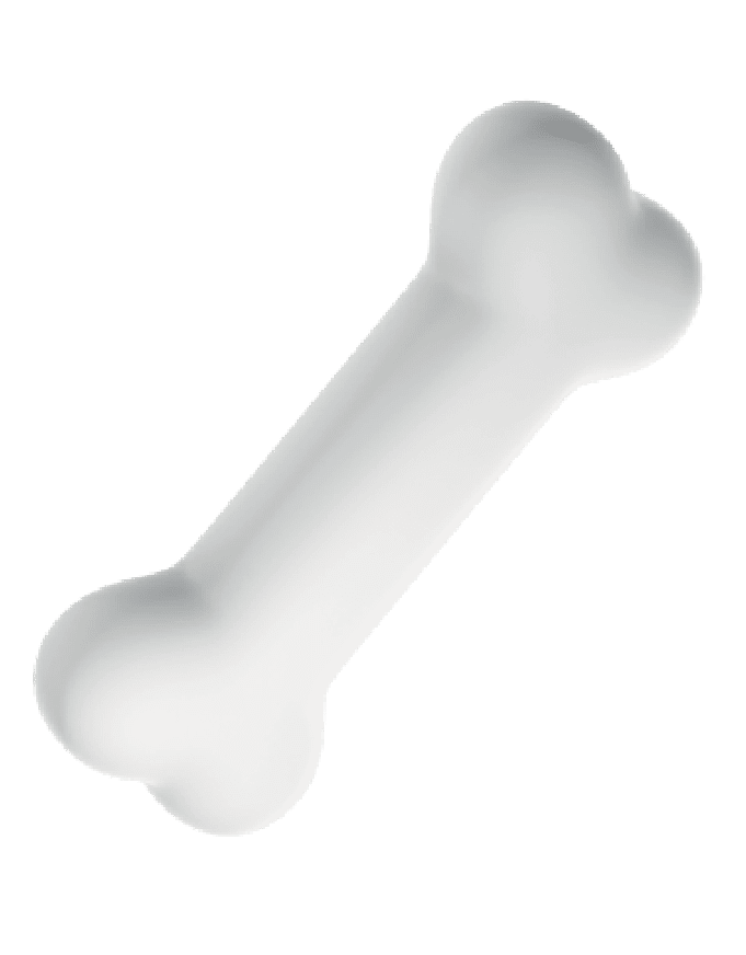 productos para mascotas